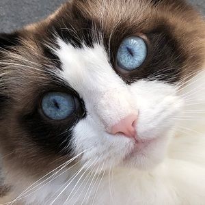 Meet your Posher, Laura lee